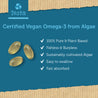 DHA Omega-3 Algae Oil Capsules - Thrive Daily - 6 Month Supply