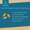 DHA + EPA Omega-3 Algae Oil Capsules - Health Boost - 6 Month Supply